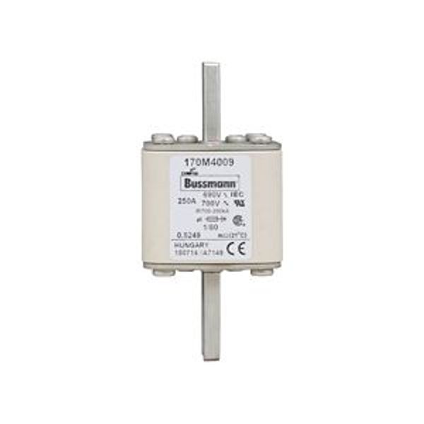 Fuse-link, high speed, 250 A, AC 690 V, DIN 1, 53 x 53 x 108 mm, aR, DIN, IEC, single indicator image 4