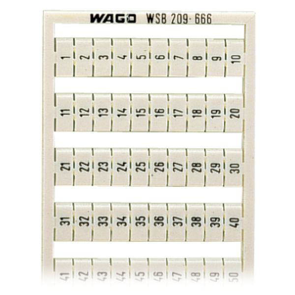 WSB marking card as card MARKED white image 4