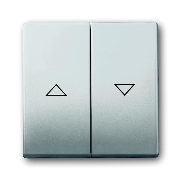 1785 JA-866 CoverPlates (partly incl. Insert) pure stainless steel Stainless steel image 1