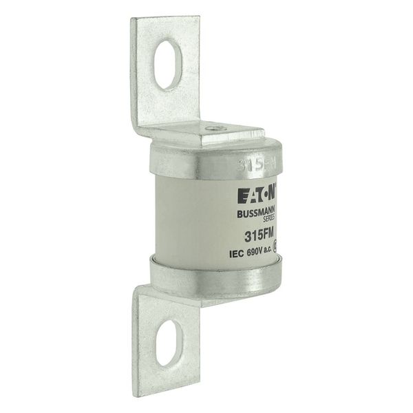 5.5KV 125E BHLE FUSE image 10