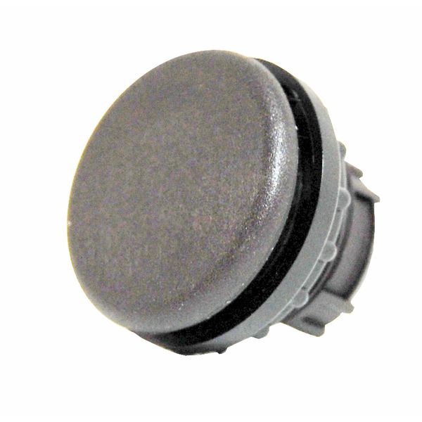 Blanking plug, grey image 1