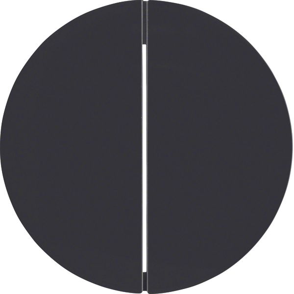 Button 2gang, R.1/R.3/1930/R.cl., black glossy image 1