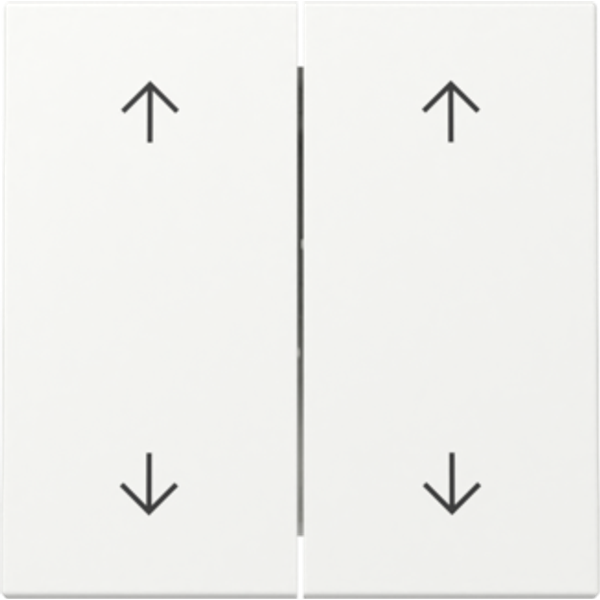 rocker 2-g arrows System 55 p.white m image 1