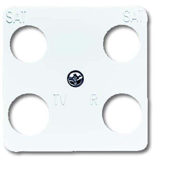 1743-04-214 CoverPlates (partly incl. Insert) carat® Alpine white image 1