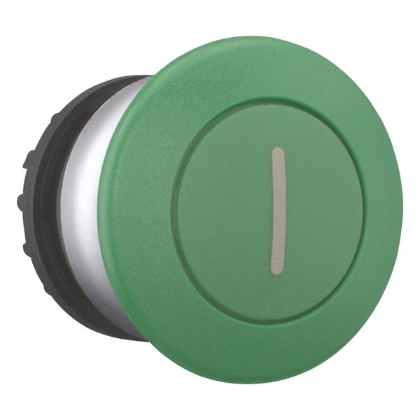 Mushroom actuator, RMQ-Titan, Mushroom, momentary, Mushroom green, green, inscribed, Bezel: titanium image 8