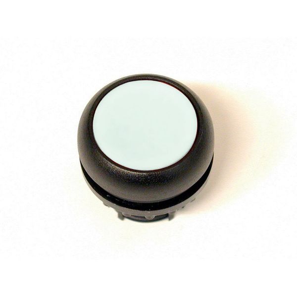 Pushbutton, RMQ-Titan, Flat, maintained, Without button plate, Bezel: black image 4