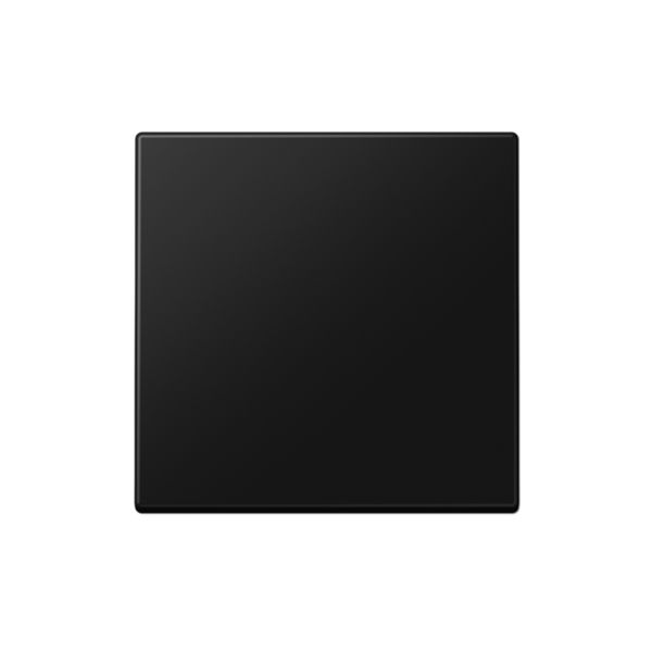 Centre plate for push button Centre pl. f dimmer,matt black image 3