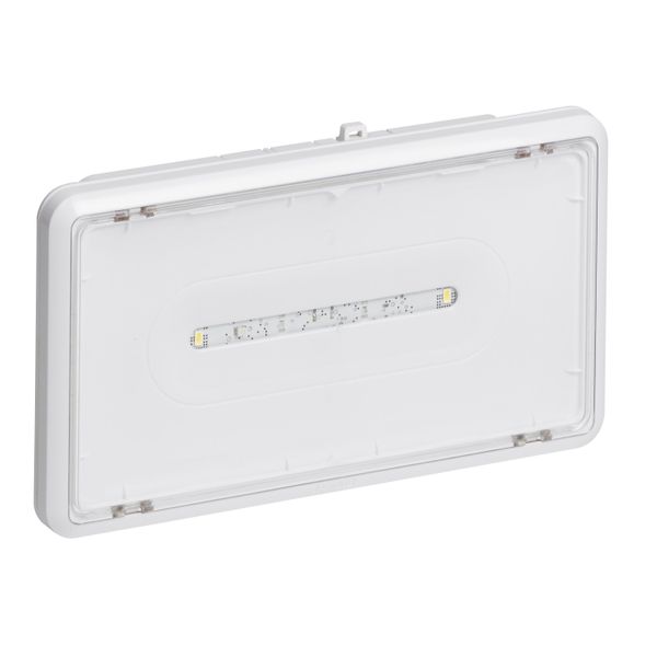 BAEH HABITATION A LEDS ECO2 PLASTIQUE IP 43 IK07 image 1