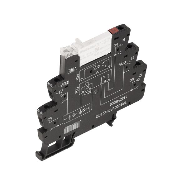 Relay module, cULus C1D2, 120 V AC ±10 %, Green LED, Rectifier, RC ele image 2