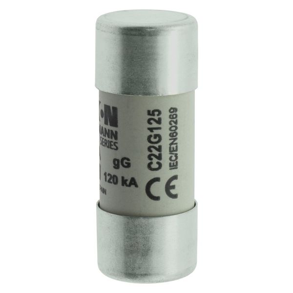 Fuse-link, LV, 125 A, AC 400 V, 22 x 58 mm, gL/gG, IEC image 18