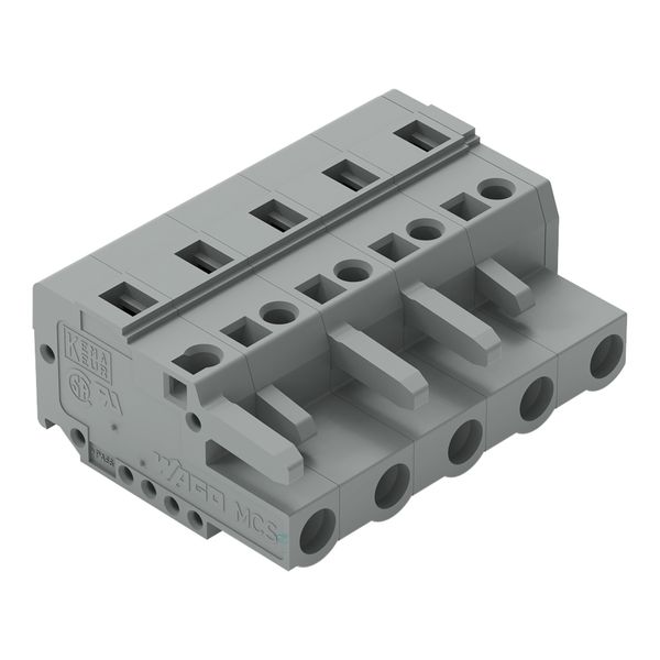 1-conductor female connector CAGE CLAMP® 2.5 mm² gray image 1