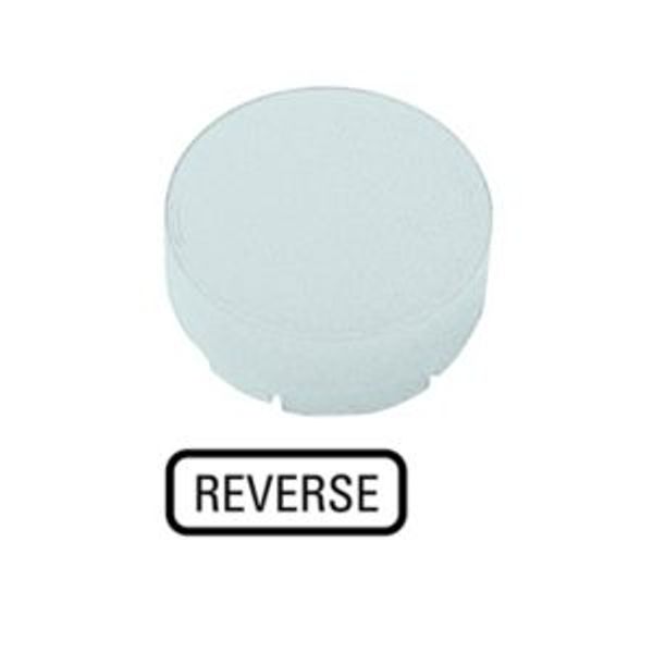 Button lens, raised white, REVERSE image 2