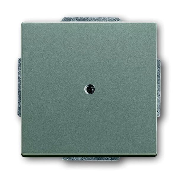 AudioWorld, Inserts for flush-mounted devices, Loudspeaker insert, anthracite image 110