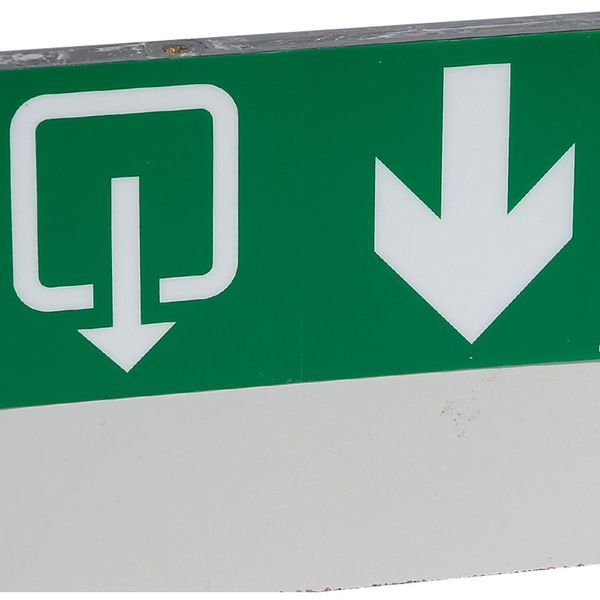 Label - for emergency lighting luminaires - exit below with lift -127x254mm image 1