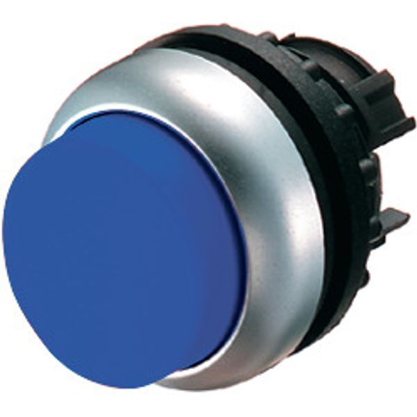 Illuminated pushbutton actuator, RMQ-Titan, Extended, momentary, Blue, Blank, Bezel: titanium image 1