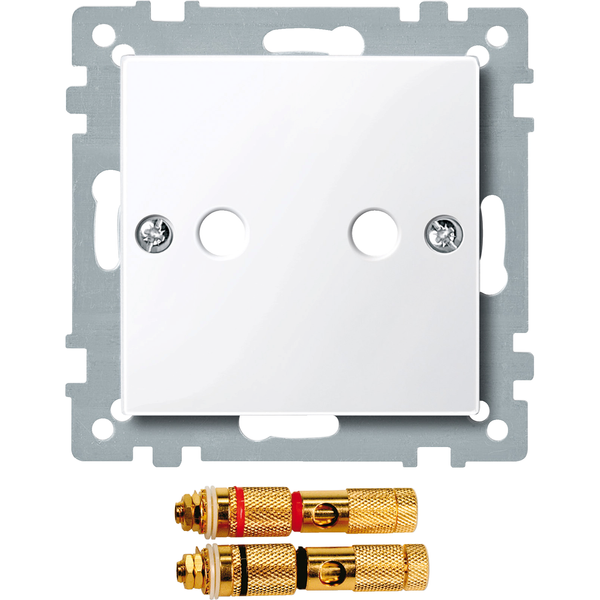Central plate w. high-end loudspeaker connector, active white, glossy, System M image 4