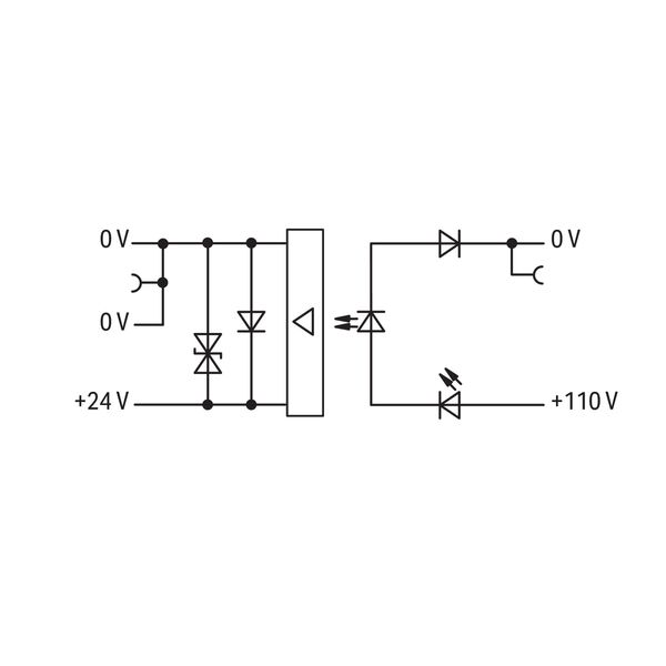 OPTO DC 24V, gray image 3