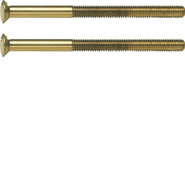 Two-hole screws 2 x M3.5 x 50 mm, TS, gold glossy, 24-carat galvanised image 1