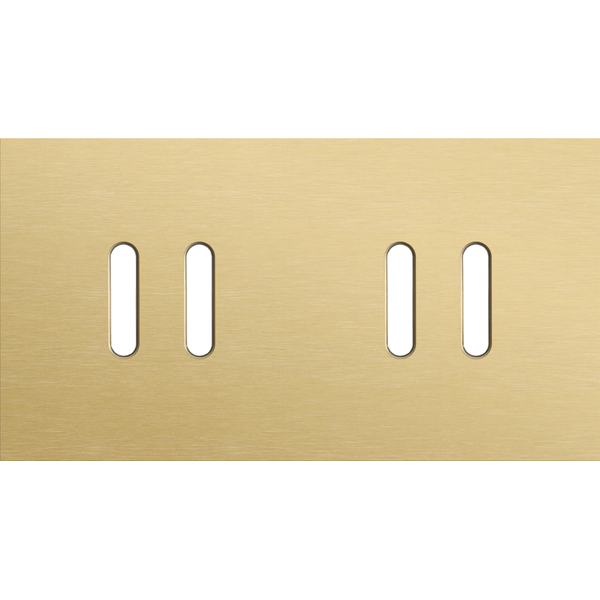 Twofold faceplate, horizontal 71 mm centre distance, for double switch image 2