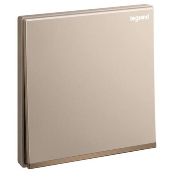 Galion 1 gang 2 way switch 16AX - rose gold image 1