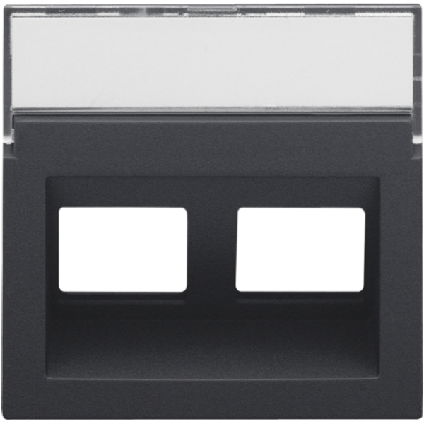 Central plate data 2x RJ oblique output, anthracite coated image 1