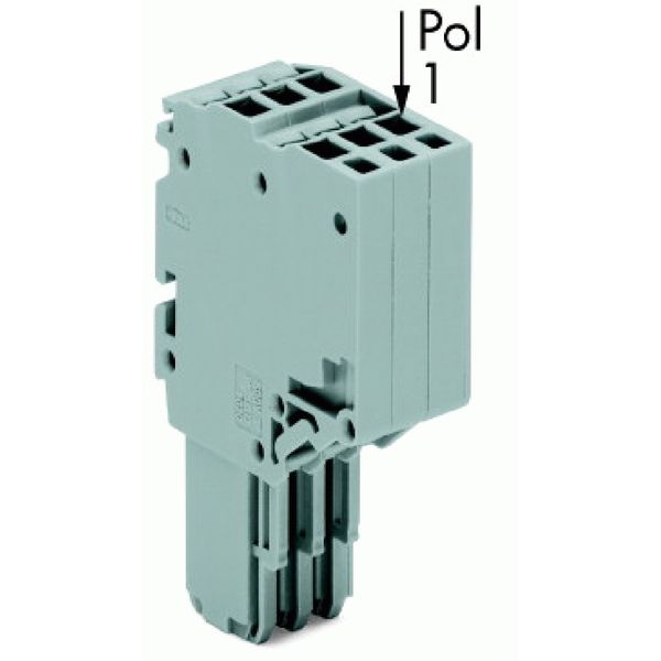 2-conductor female connector Push-in CAGE CLAMP® 1.5 mm² gray image 1