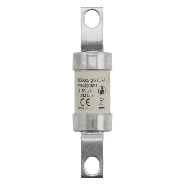 Fuse-link, LV, 100 A, AC 415 V, BS88/A4, 27 x 110 mm, gM, BS, 100M125 image 12