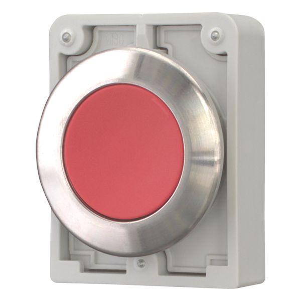 Pushbutton, RMQ-Titan, flat, maintained, red, blank, Front ring stainless steel image 9