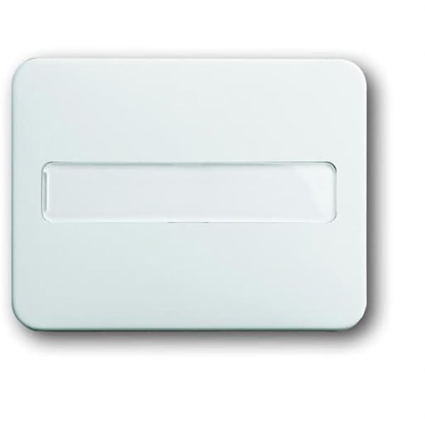 1764 NLI-24G CoverPlates (partly incl. Insert) carat® Studio white image 1