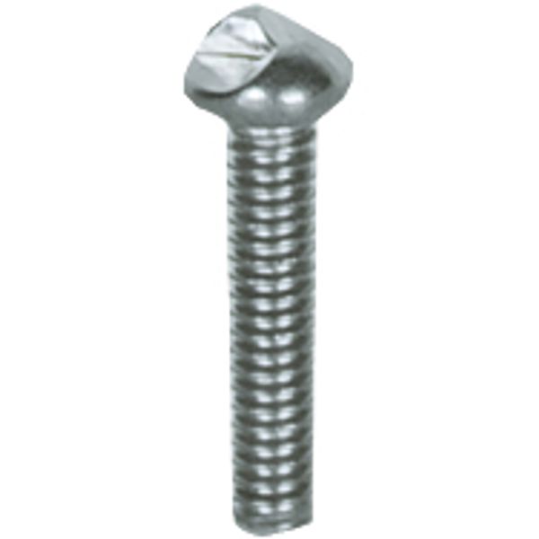 PSEN screw M4x20 10pcs image 1