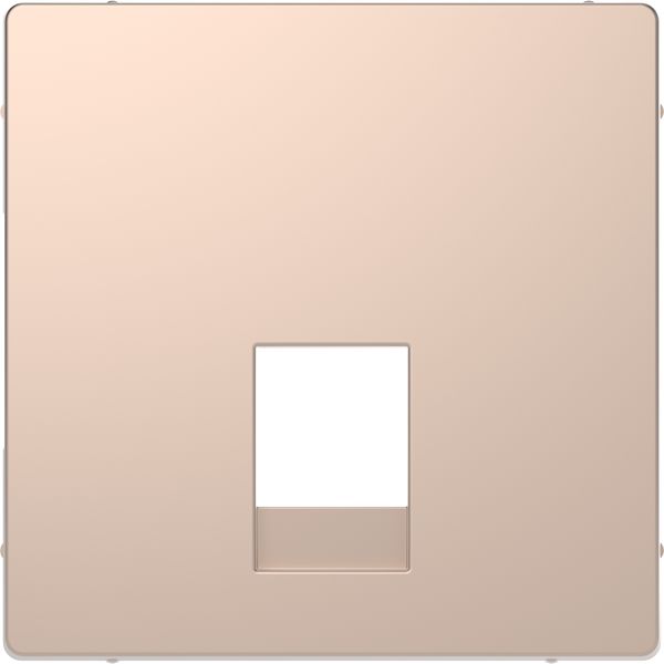 Central plate for RJ11 and RJ12 champagne, System Design image 3