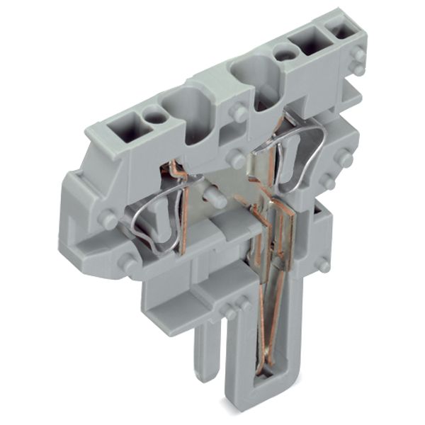 End module for 2-conductor female connector CAGE CLAMP® 4 mm² gray image 2