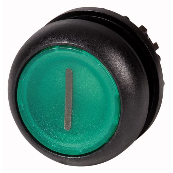 Illuminated pushbutton actuator, RMQ-Titan, Flush, momentary, green, inscribed, Bezel: black image 1