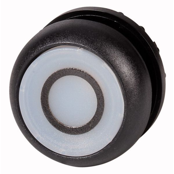 Illuminated pushbutton actuator, RMQ-Titan, Flush, maintained, White, inscribed 0, Bezel: black image 1