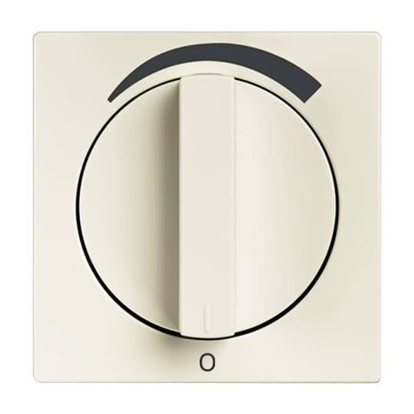 1740 DR/03-84 CoverPlates (partly incl. Insert) future®, Busch-axcent®, solo®; carat® Studio white image 6