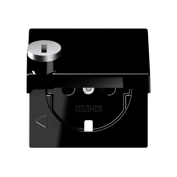 Cover for SCHUKO® sockets A1520KLSLPLSW image 2