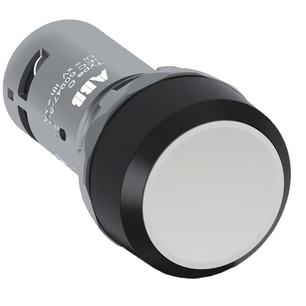 CP1-10R-20 Pushbutton image 1