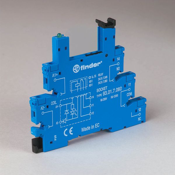 Screw socket blue 48+60VDC for 35mm.rail, 34.51/81 (93.01.7.060) image 3