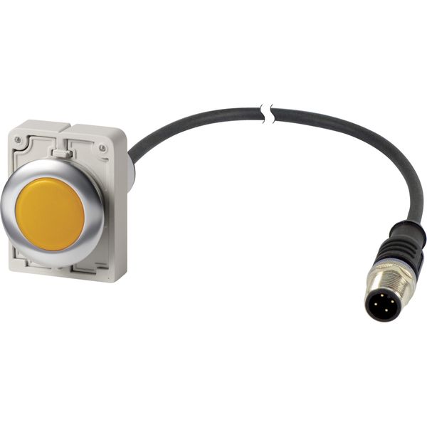 Indicator light, Flat, Cable (black) with M12A plug, 4 pole, 1 m, Lens yellow, LED white, 24 V AC/DC image 3