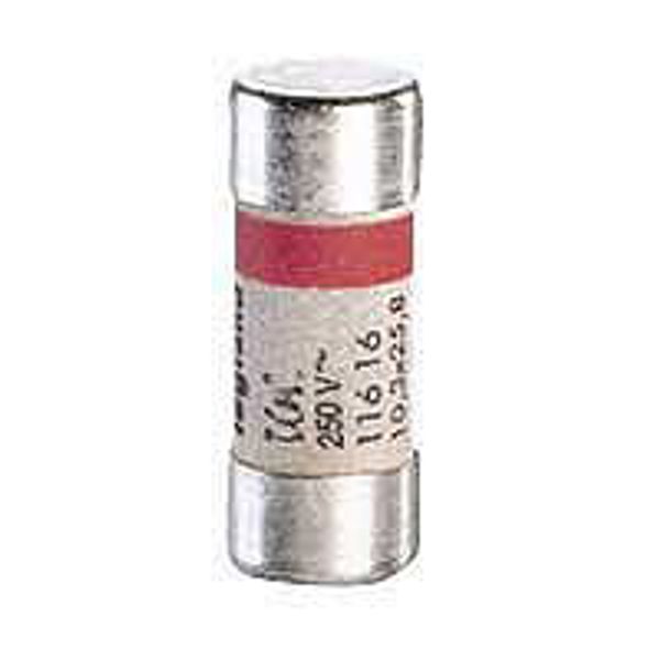 Domestic cartridge fuse - cylindrical type 10.3 x 25.8 - 10 A - w/o indicator image 1