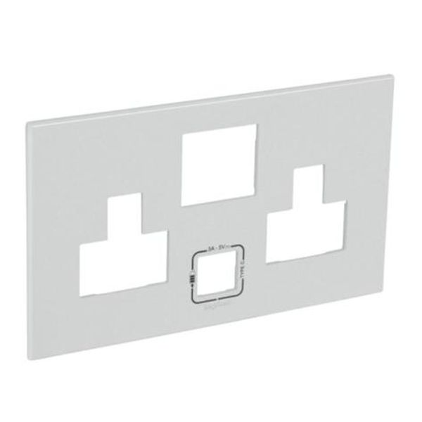 Arteor™ - Special plate for multistandard 2x2P+E switched 2 gang socket outlet with USB charger - Soft Alu image 1