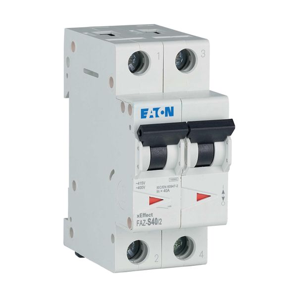 Miniature circuit breaker (MCB), 40 A, 2p, characteristic: S image 21