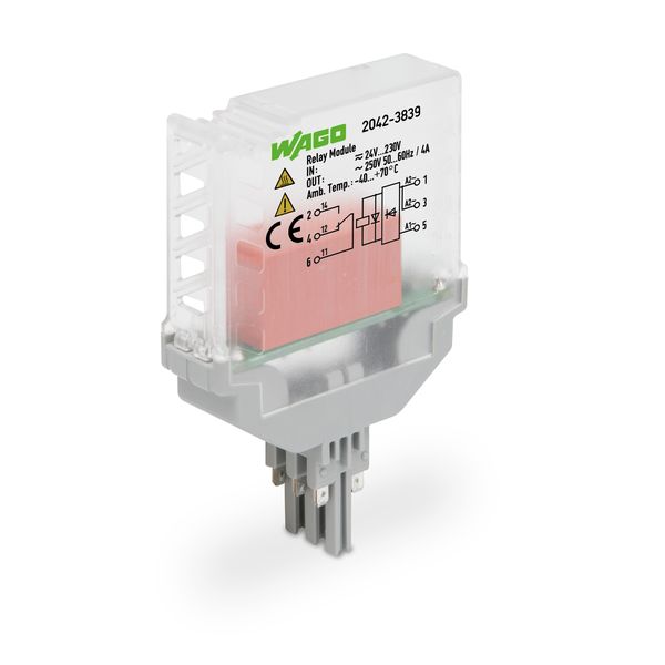 Relay module Nominal input voltage: 24 … 230 V AC/DC 1 changeover cont image 1