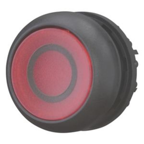 Illuminated pushbutton actuator, RMQ-Titan, Flush, momentary, red, inscribed, Bezel: black image 2