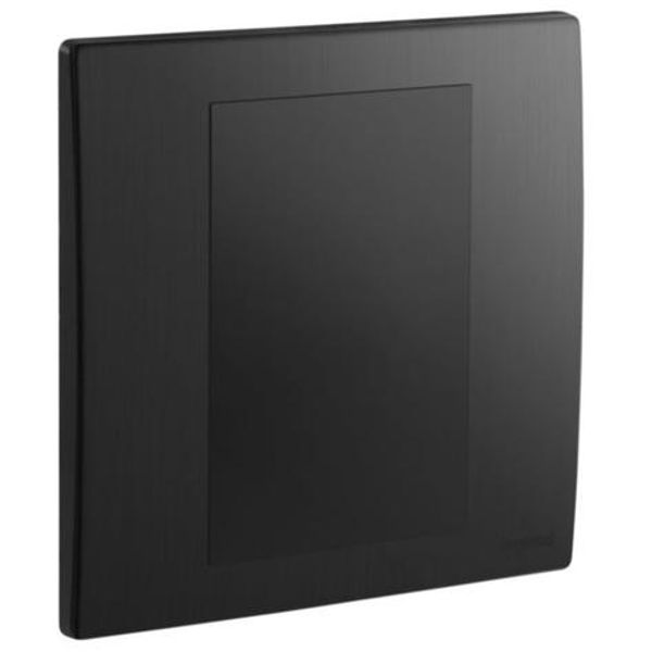 Mallia Senses - 1 gang blanking plate - Brushed Black image 1