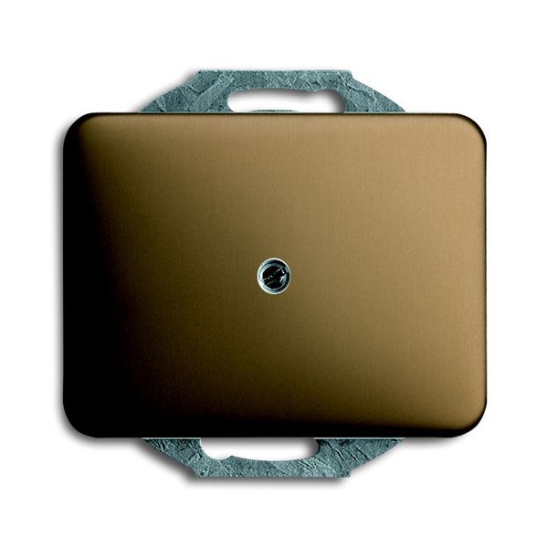1742-21 CoverPlates (partly incl. Insert) carat® bronze image 1
