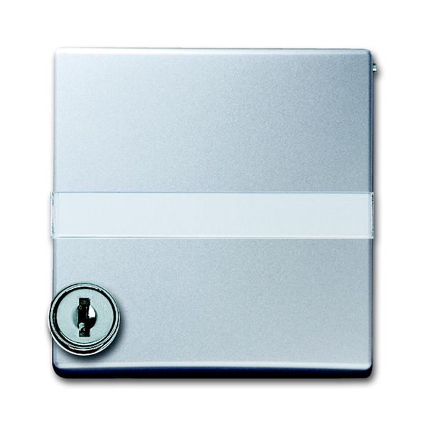2118 GKSLN-33 CoverPlates (partly incl. Insert) Flush-mounted, water-protected, special connecting devices Aluminium silver image 1