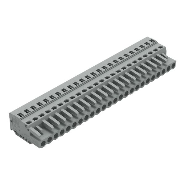 231-124/102-000 1-conductor female connector; CAGE CLAMP®; 2.5 mm² image 1