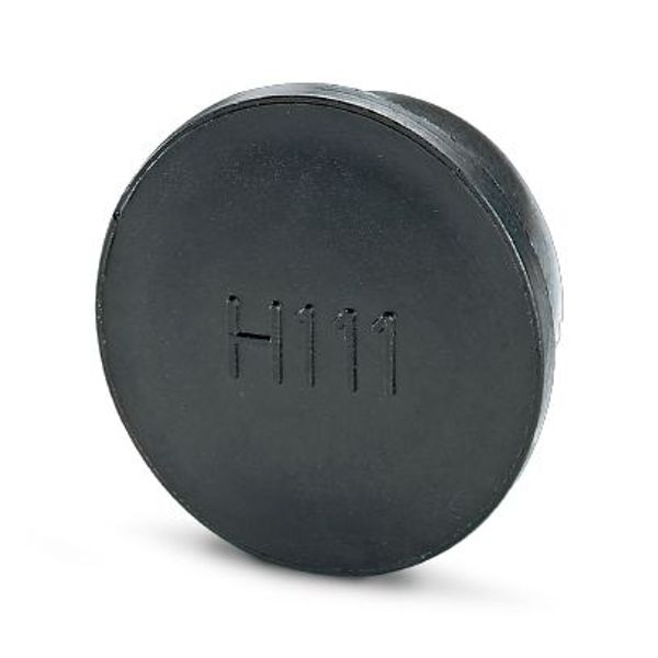 Plastic anti-static dust protection cap image 2