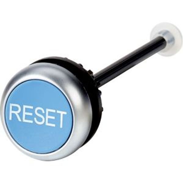 Release pushbutton, blue, Bezel: titanium, RESET image 2
